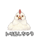 ギャグの二ワ男（個別スタンプ：7）