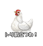 ギャグの二ワ男（個別スタンプ：8）