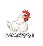 ギャグの二ワ男（個別スタンプ：9）