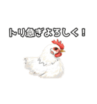 ギャグの二ワ男（個別スタンプ：15）