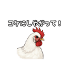 ギャグの二ワ男（個別スタンプ：16）