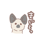 心友愛犬ちゃんスタンプ 感謝を込めて（個別スタンプ：6）