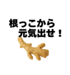 生姜の日常スタンプ（個別スタンプ：4）