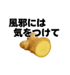 生姜の日常スタンプ（個別スタンプ：8）