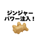 生姜の日常スタンプ（個別スタンプ：10）