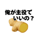 生姜の日常スタンプ（個別スタンプ：15）