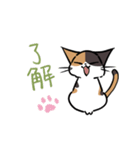 猫のあおいさん（三毛猫 ＆ 黒猫 Ver.）（個別スタンプ：4）