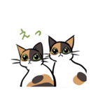 猫のあおいさん（三毛猫 ＆ 黒猫 Ver.）（個別スタンプ：5）