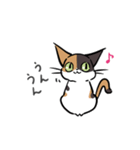 猫のあおいさん（三毛猫 ＆ 黒猫 Ver.）（個別スタンプ：7）