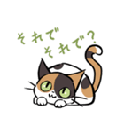 猫のあおいさん（三毛猫 ＆ 黒猫 Ver.）（個別スタンプ：10）