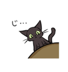 猫のあおいさん（三毛猫 ＆ 黒猫 Ver.）（個別スタンプ：14）