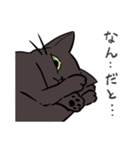 猫のあおいさん（三毛猫 ＆ 黒猫 Ver.）（個別スタンプ：19）