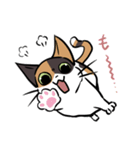 猫のあおいさん（三毛猫 ＆ 黒猫 Ver.）（個別スタンプ：20）