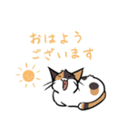 猫のあおいさん（三毛猫 ＆ 黒猫 Ver.）（個別スタンプ：21）