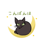 猫のあおいさん（三毛猫 ＆ 黒猫 Ver.）（個別スタンプ：23）