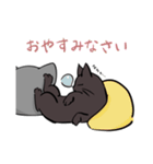 猫のあおいさん（三毛猫 ＆ 黒猫 Ver.）（個別スタンプ：24）