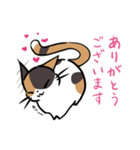 猫のあおいさん（三毛猫 ＆ 黒猫 Ver.）（個別スタンプ：25）