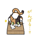 猫のあおいさん（三毛猫 ＆ 黒猫 Ver.）（個別スタンプ：28）