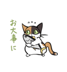 猫のあおいさん（三毛猫 ＆ 黒猫 Ver.）（個別スタンプ：32）