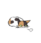 猫のあおいさん（三毛猫 ＆ 黒猫 Ver.）（個別スタンプ：33）