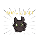 猫のあおいさん（三毛猫 ＆ 黒猫 Ver.）（個別スタンプ：35）
