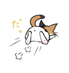 猫のあおいさん（三毛猫 ＆ 黒猫 Ver.）（個別スタンプ：36）