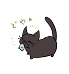 猫のあおいさん（三毛猫 ＆ 黒猫 Ver.）（個別スタンプ：38）
