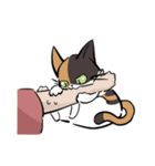 猫のあおいさん（三毛猫 ＆ 黒猫 Ver.）（個別スタンプ：39）