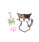 猫のあおいさん（三毛猫 Ver.）（個別スタンプ：4）