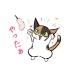 猫のあおいさん（三毛猫 Ver.）（個別スタンプ：8）