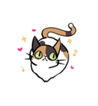 猫のあおいさん（三毛猫 Ver.）（個別スタンプ：9）