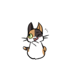 猫のあおいさん（三毛猫 Ver.）（個別スタンプ：11）