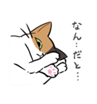 猫のあおいさん（三毛猫 Ver.）（個別スタンプ：19）