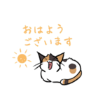 猫のあおいさん（三毛猫 Ver.）（個別スタンプ：21）