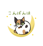 猫のあおいさん（三毛猫 Ver.）（個別スタンプ：23）