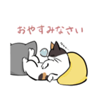 猫のあおいさん（三毛猫 Ver.）（個別スタンプ：24）