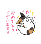猫のあおいさん（三毛猫 Ver.）（個別スタンプ：26）