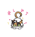 猫のあおいさん（三毛猫 Ver.）（個別スタンプ：31）