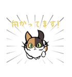 猫のあおいさん（三毛猫 Ver.）（個別スタンプ：35）