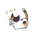 猫のあおいさん（三毛猫 Ver.）（個別スタンプ：38）
