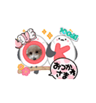 犬のcuteなスタンプ（個別スタンプ：1）