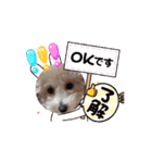 犬のcuteなスタンプ（個別スタンプ：6）