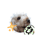 犬のcuteなスタンプ（個別スタンプ：7）