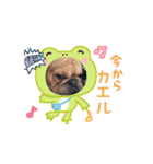 犬のcuteなスタンプ（個別スタンプ：8）