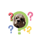犬のcuteなスタンプ（個別スタンプ：9）
