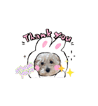 犬のcuteなスタンプ（個別スタンプ：11）