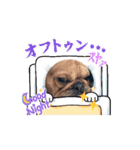 犬のcuteなスタンプ（個別スタンプ：13）