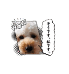 犬のcuteなスタンプ（個別スタンプ：14）