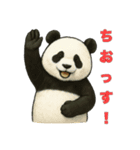 【いつでも使える】おもしろパンダ達（個別スタンプ：12）