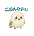日常会話！シマエナガのゆるふわ可愛い♥（個別スタンプ：1）